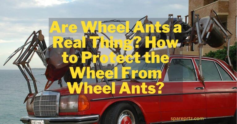 Are Wheel Ants a Real Thing? How to Protect the Wheel From Wheel Ants?