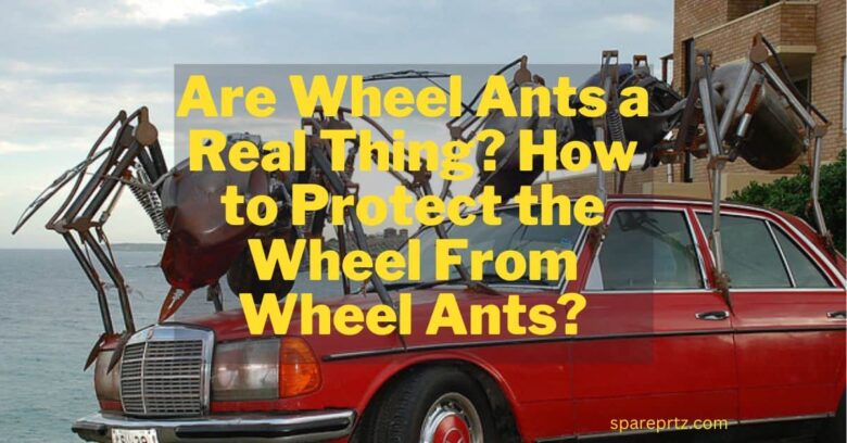 Are Wheel Ants a Real Thing How to Protect the Wheel From Wheel Ants