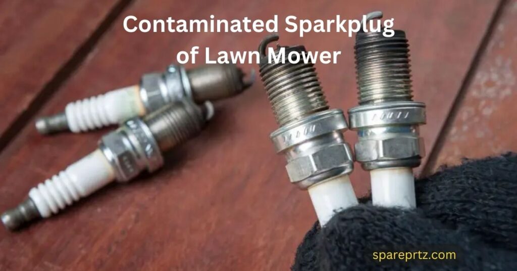 Contaminated Sparkplug of Lawn Mower